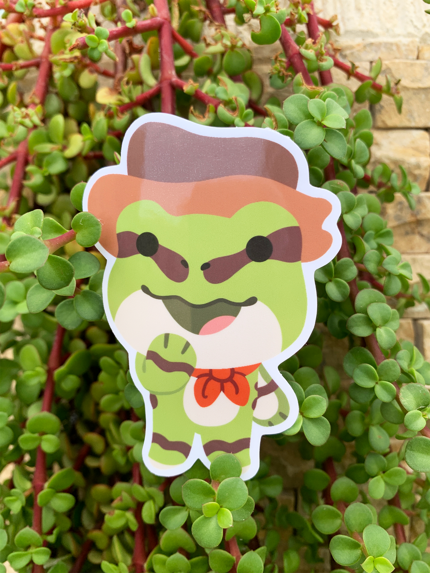 Tree-Frog Traveller - Curious - AZ