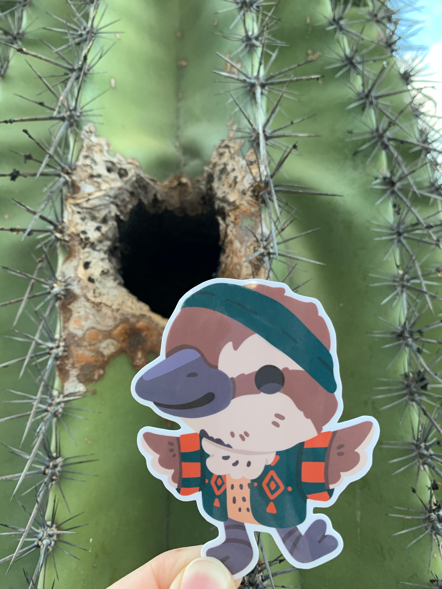 Cactus Wren Friend - Dance - AZ